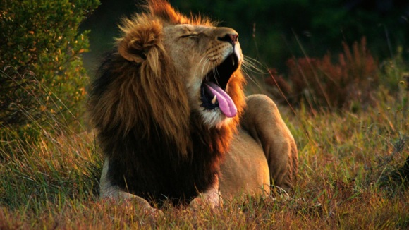 Photo from the movie View From a Blue Moon