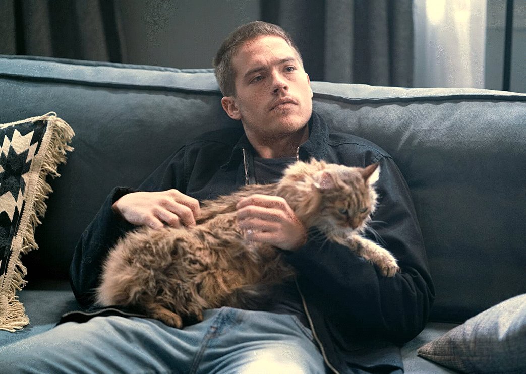 Photo du film Beautiful Disaster