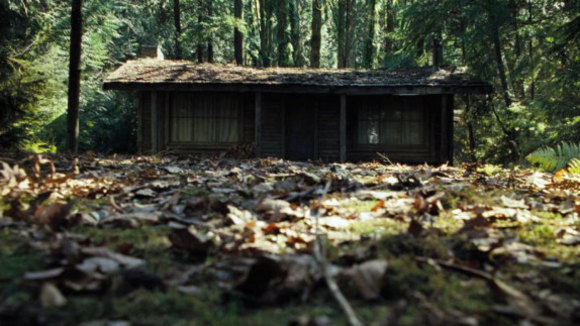 Photo du film La Cabane dans les bois