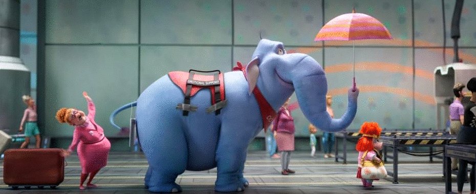 Photo du film Hitpig! Le Film