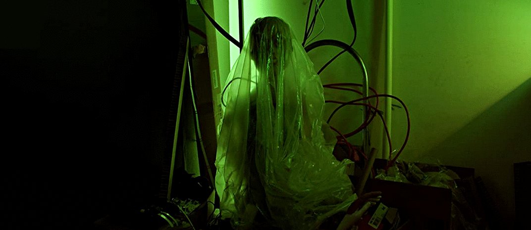 Photo du film The Artifice Girl