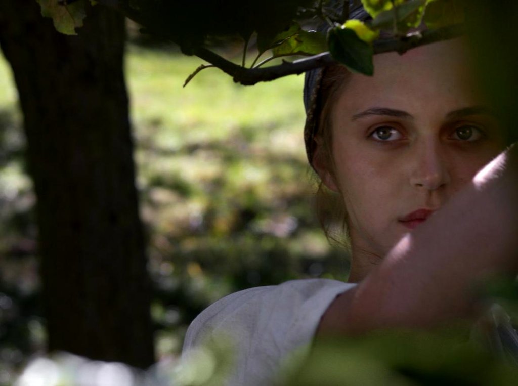 Photo du film Le Semeur