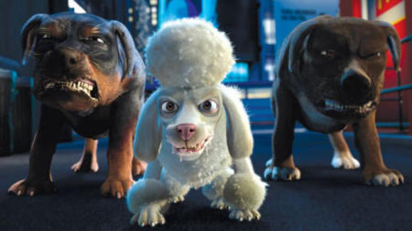 Photo du film La Vie Sauvage