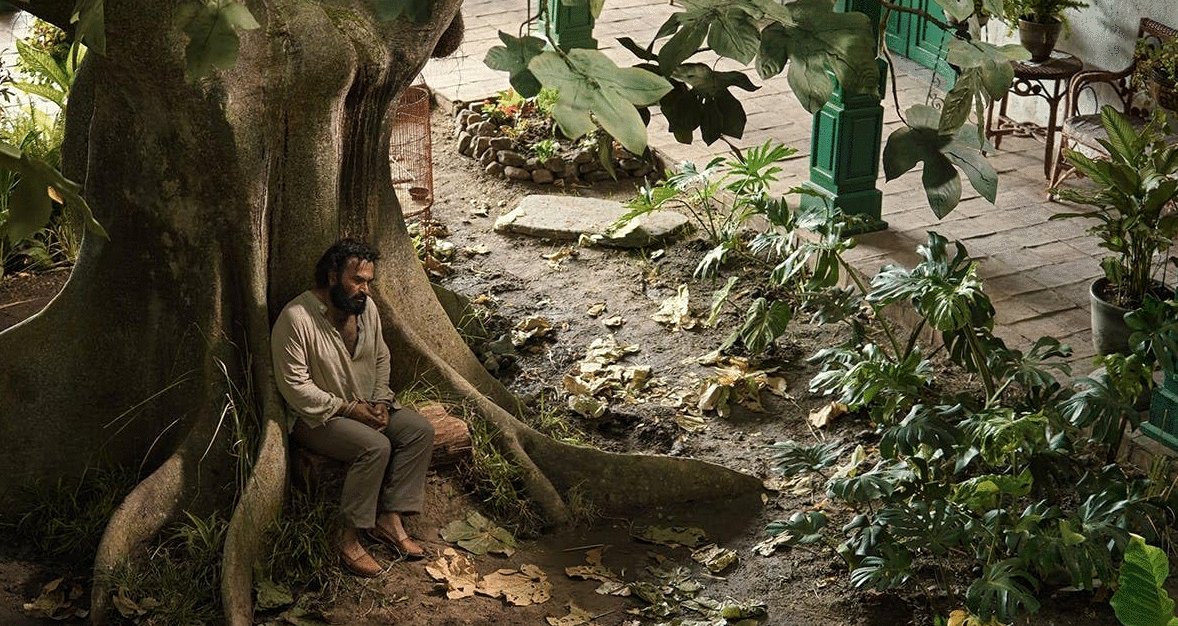 Photo du film Cien Años de Soledad