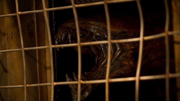 Photo du film Riddick v.f.