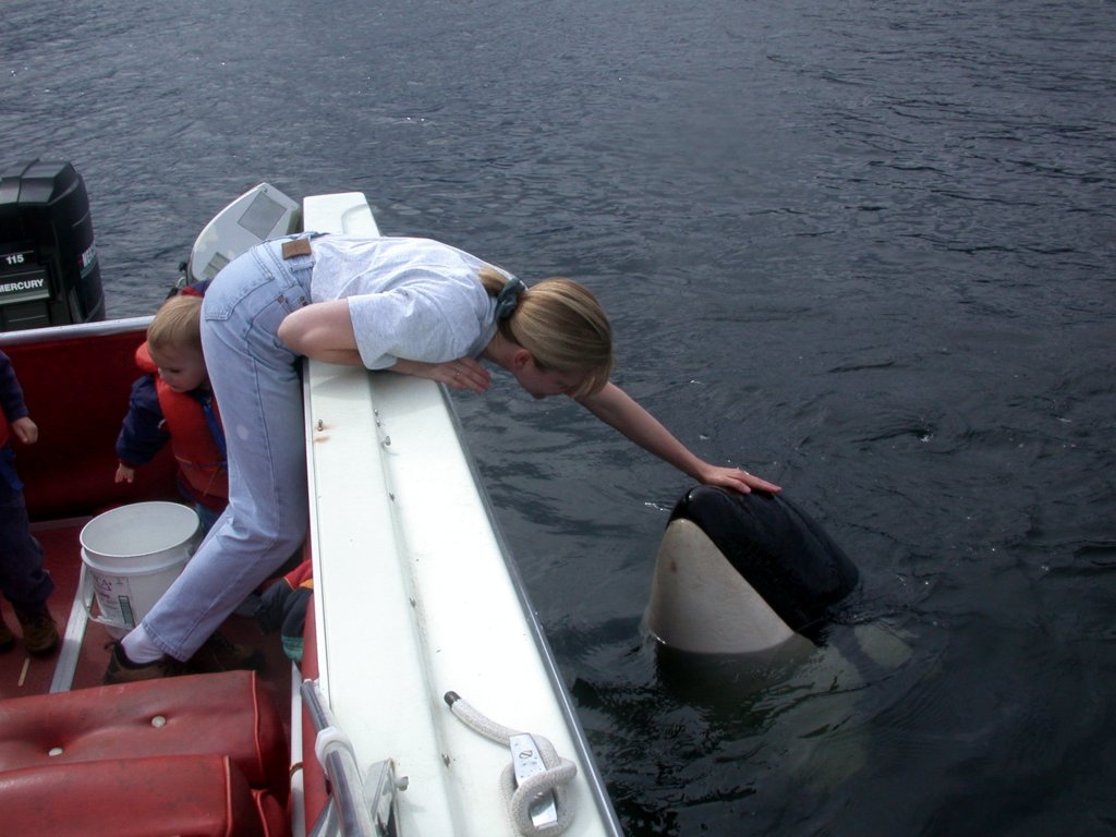 Photo du film La Baleine