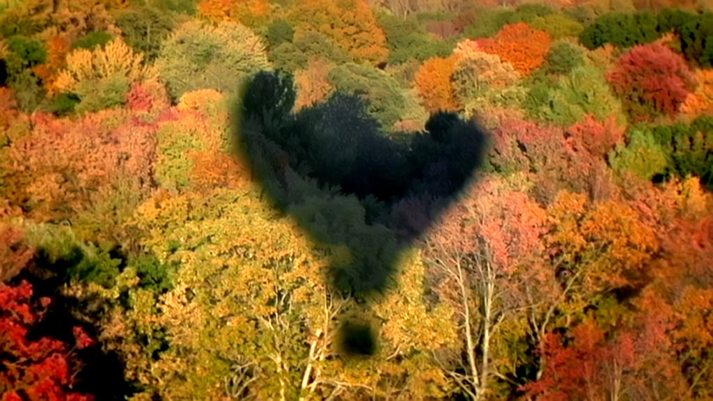 Photo du film Wind Riders