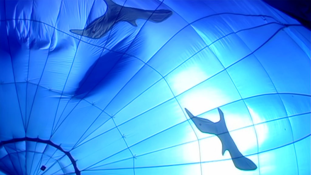 Photo du film Wind Riders