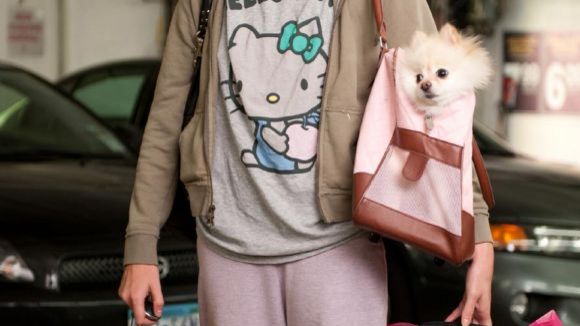 Photo du film Jeune adulte