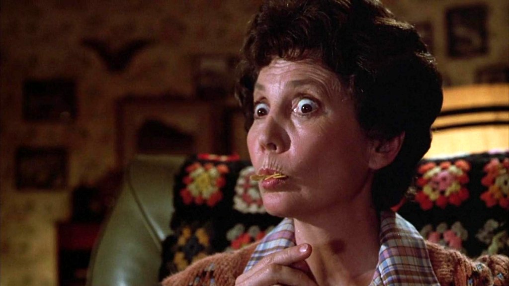 Photo du film Gremlins v.f.