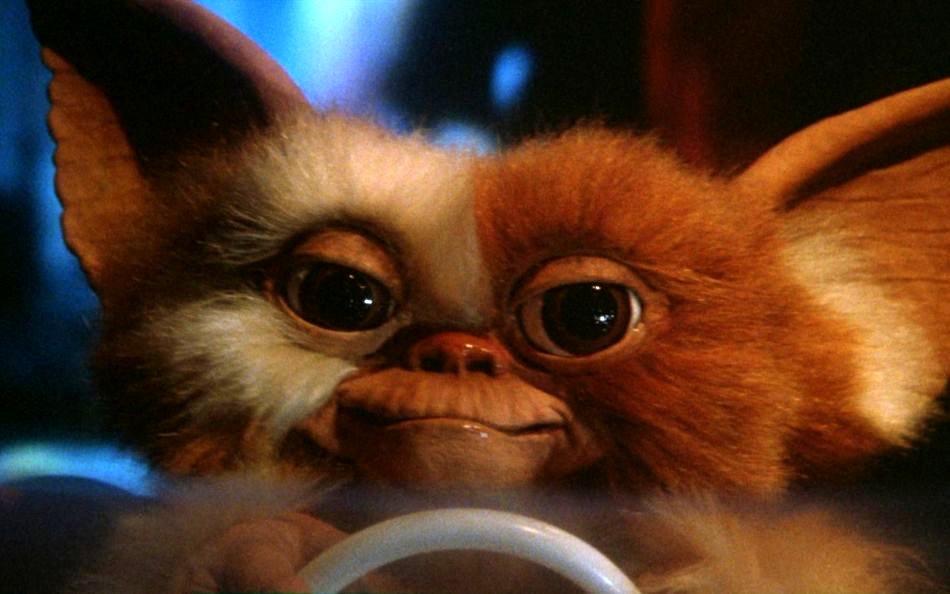Photo du film Gremlins v.f.