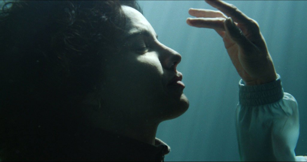 Photo du film The Cow Who Sang a Song Into the Future