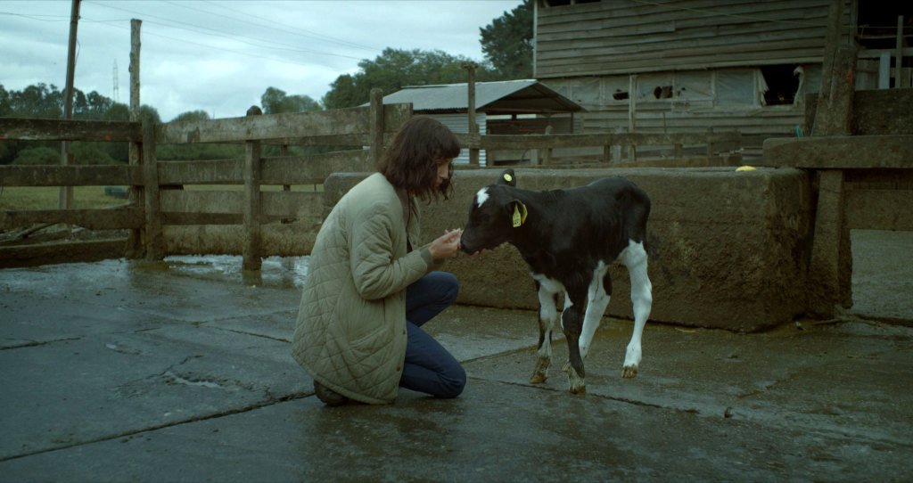 Photo du film The Cow Who Sang a Song Into the Future
