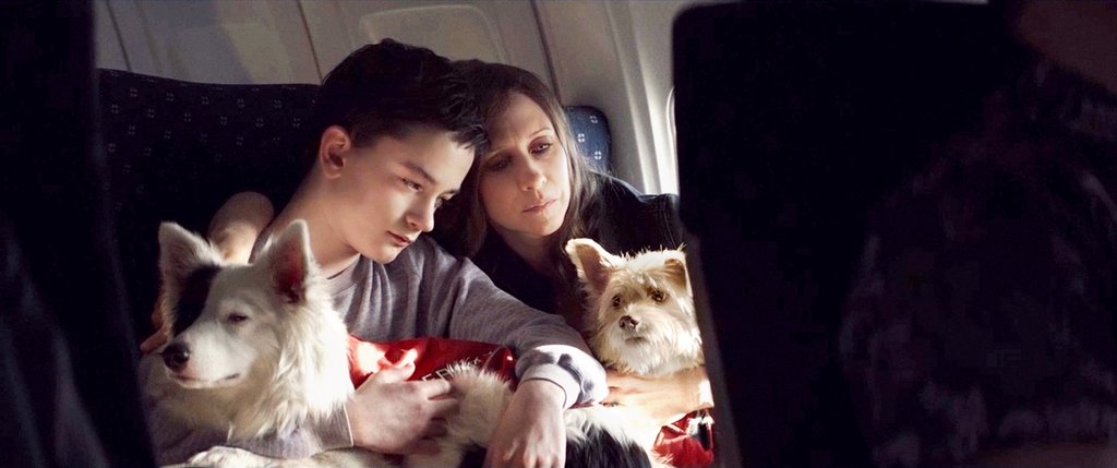 Photo du film Boundaries