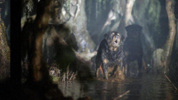 Photo du film Man Thing