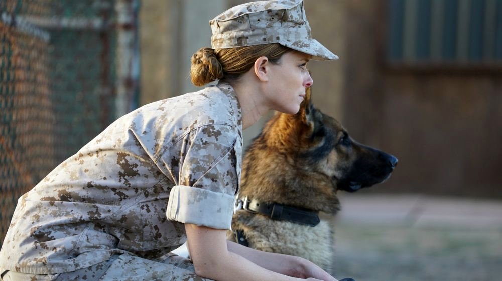 Photo from the movie Megan Leavey