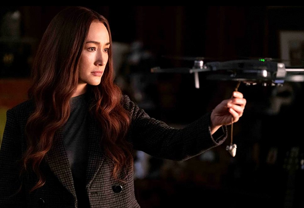 Photo du film La Protégée