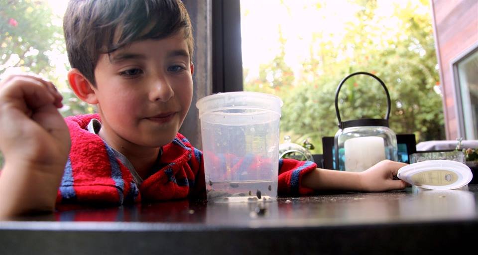 Photo from the movie Before the Sun Explodes