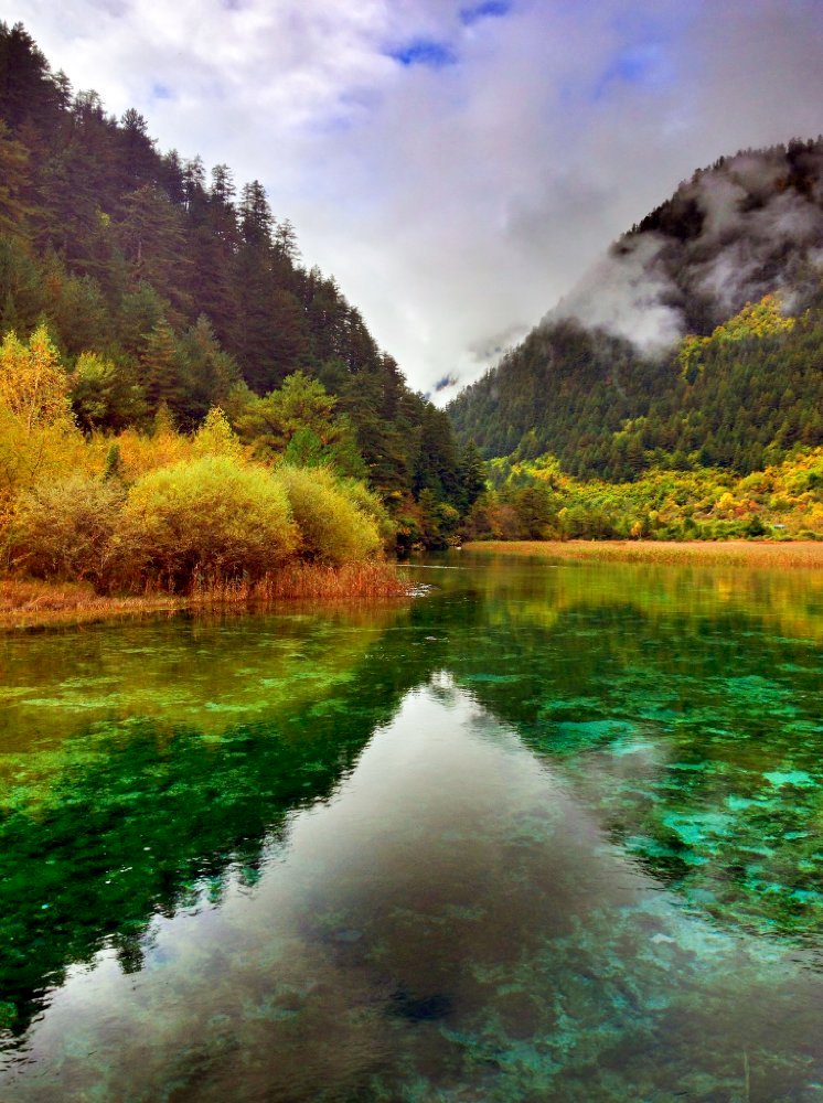 Photo from the movie Born in China