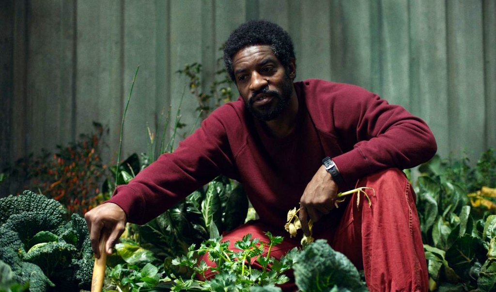 Photo du film Une Vie en hauteur