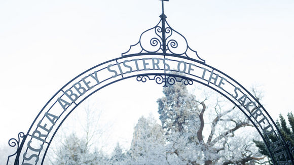 Photo du film Philomena v.f.