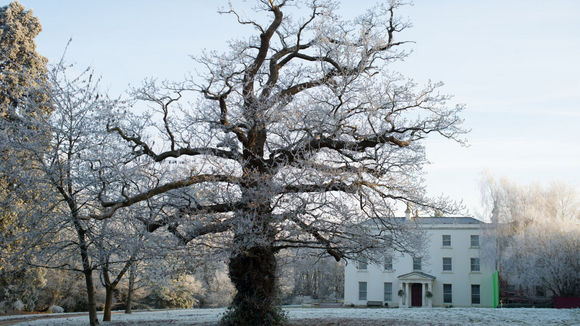 Photo du film Philomena v.f.