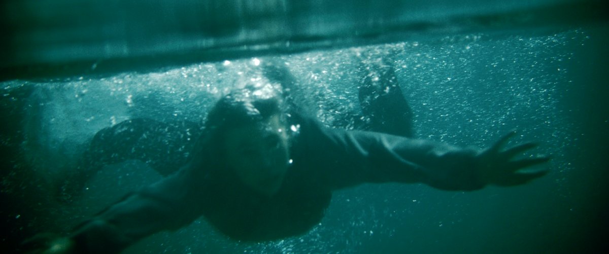 Photo du film Dark Nature