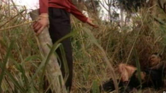 Photo from the movie Election