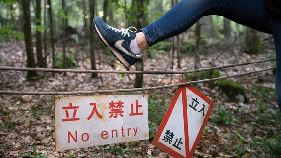 Photo from the movie The Forest