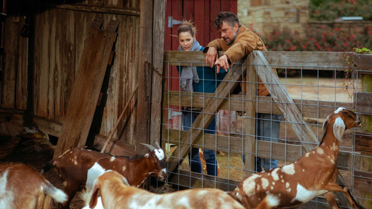 Photo du film The Lost Husband