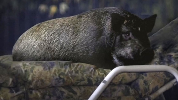 Photo from the movie 3, 2, 1... Frankie Go Boom