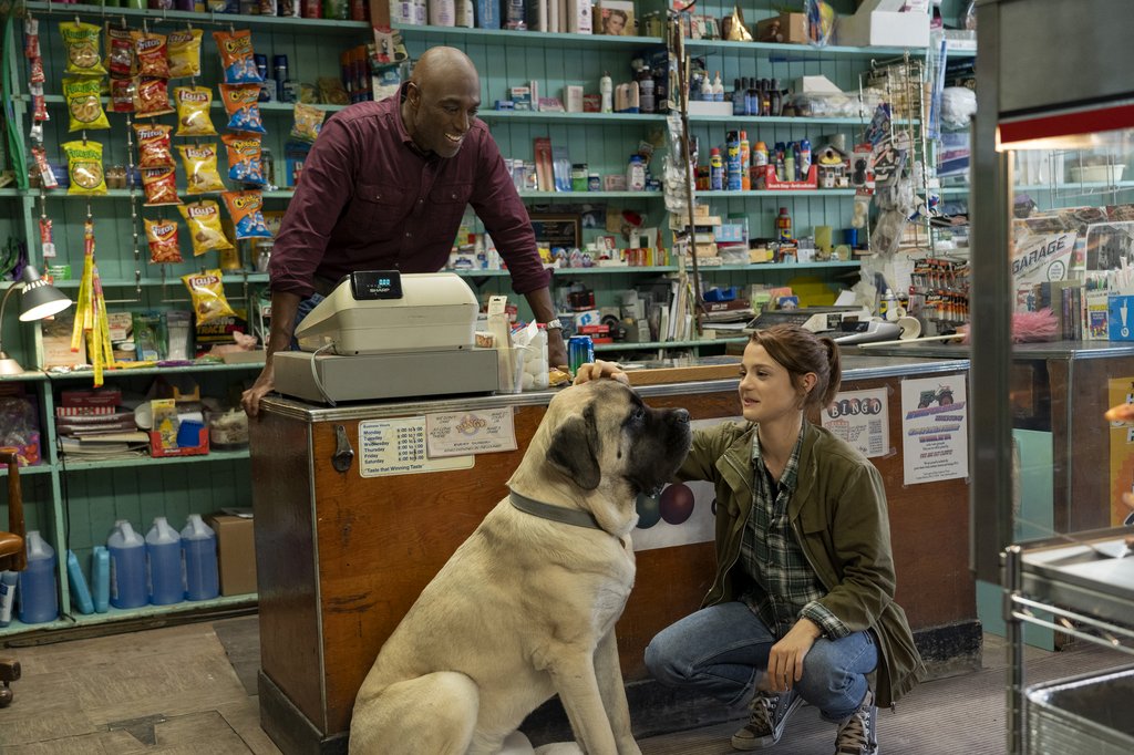 Photo du film Mes voyages de chien