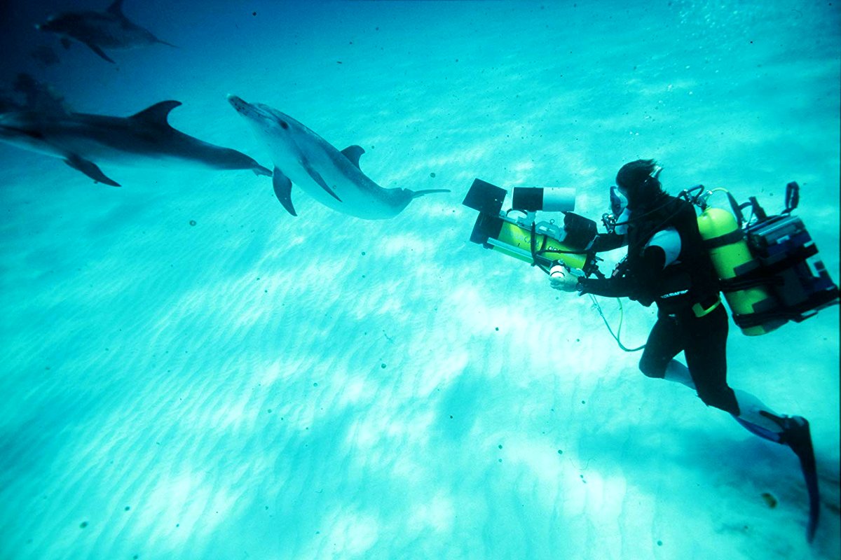 Photo from the movie Diving Deep: The Life and Times of Mike deGruy