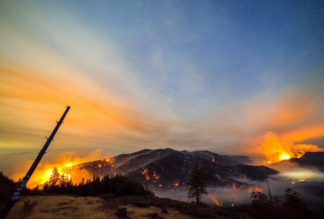 Photo du film Elemental: Reimagine Wildfire