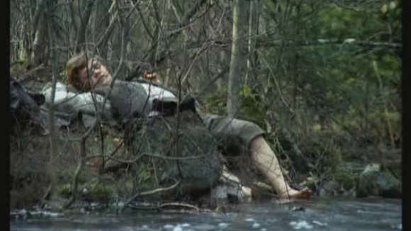 Photo du film Utvandrarna