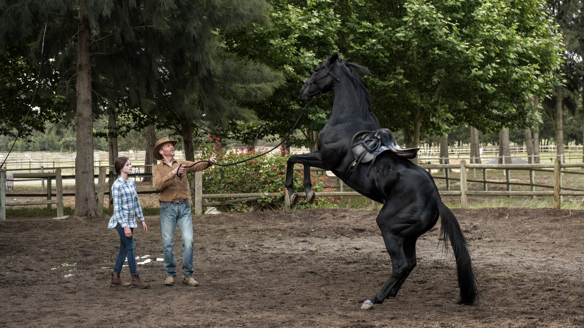 Photo du film Black Beauty