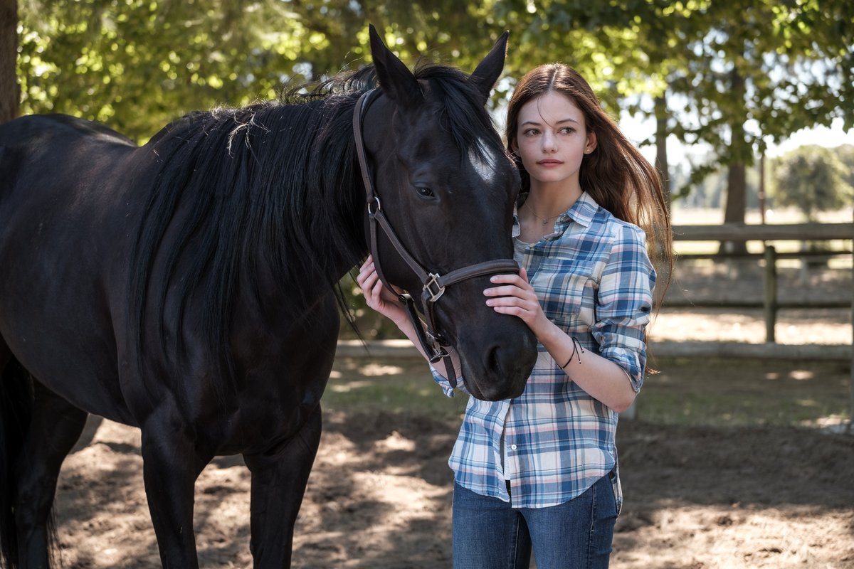 Photo du film Black Beauty