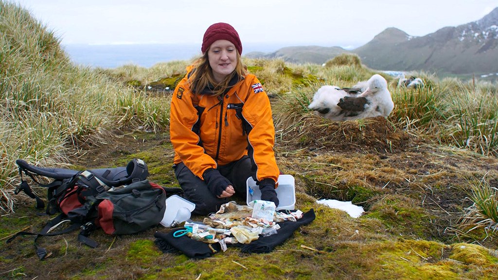 Photo du film Blue Planet II