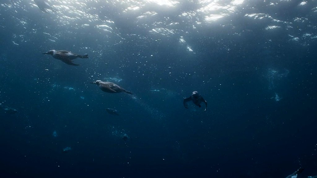 Photo du film Blue Planet II