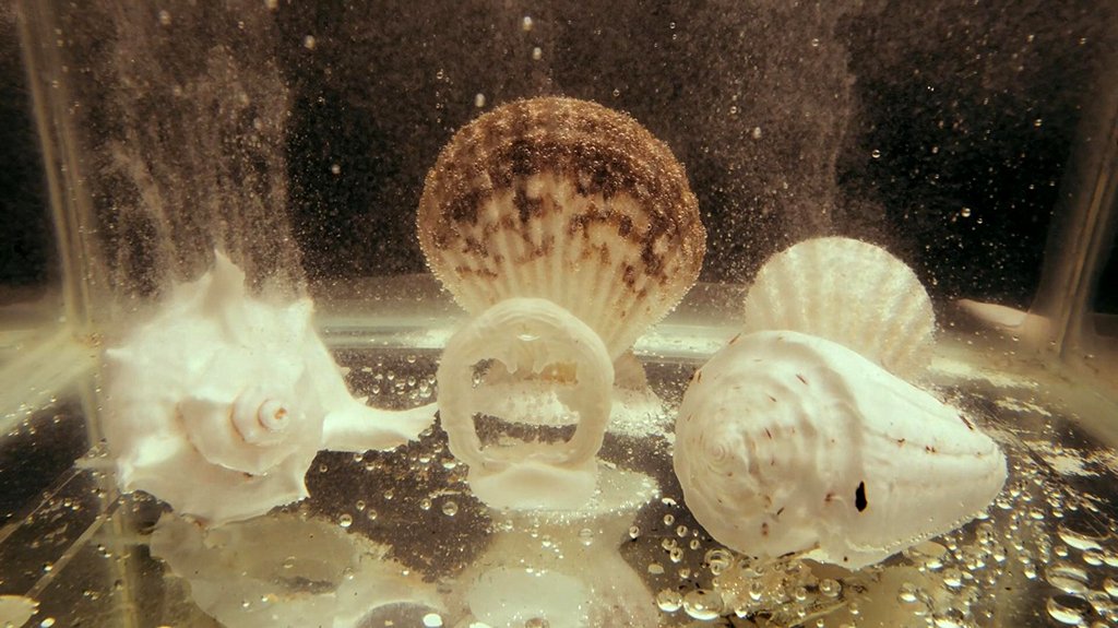 Photo du film Blue Planet II