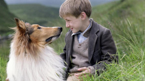 Photo du film Lassie