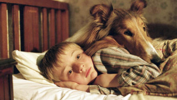 Photo du film Lassie