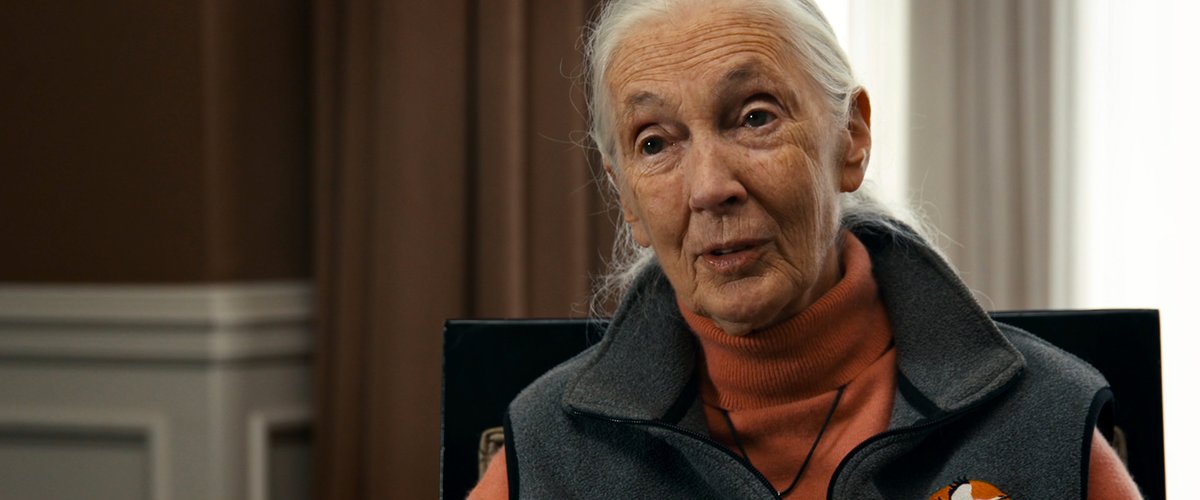 Photo from the movie The Last Tourist