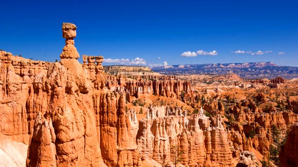 Photo du film Amérique Sauvage: Au coeur des parcs nationaux