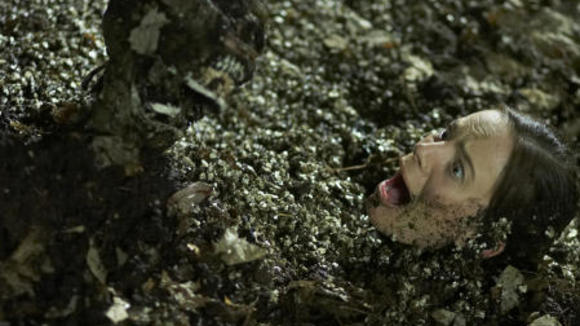 Photo du film The Marsh