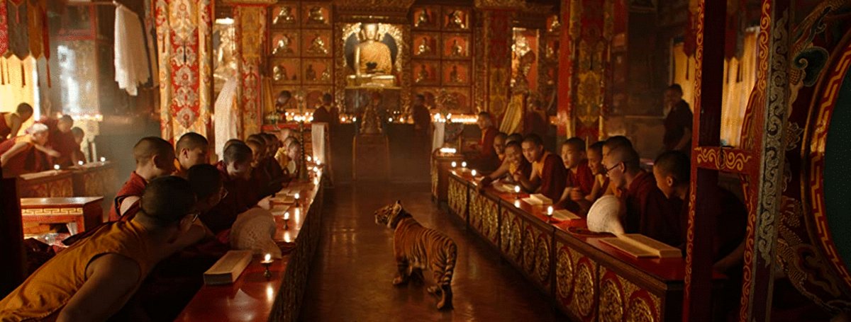 Photo du film Le tigre et l'enfant