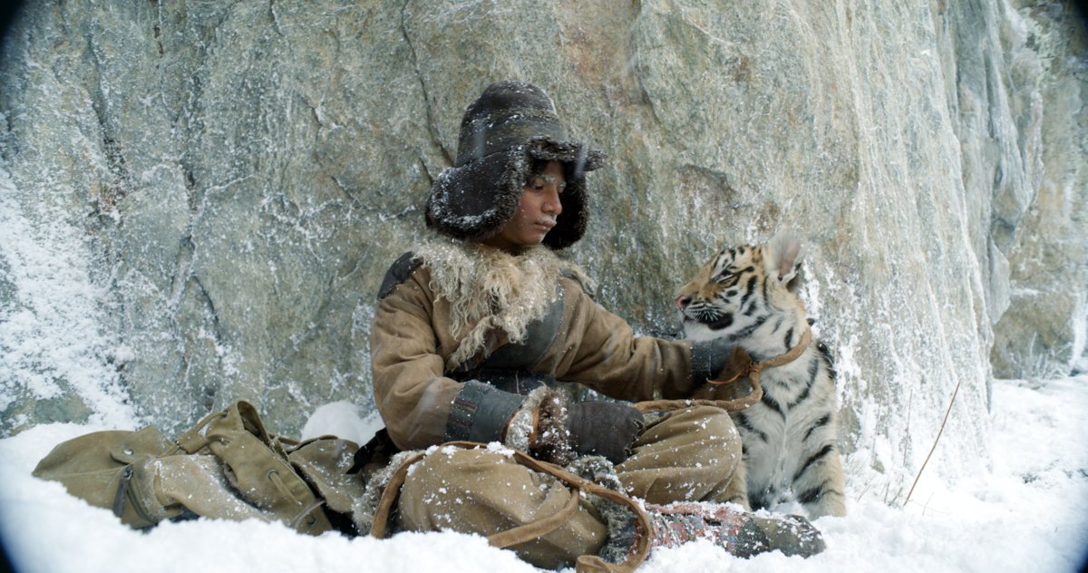Photo du film Le tigre et l'enfant