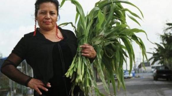 Photo from the movie The Garden