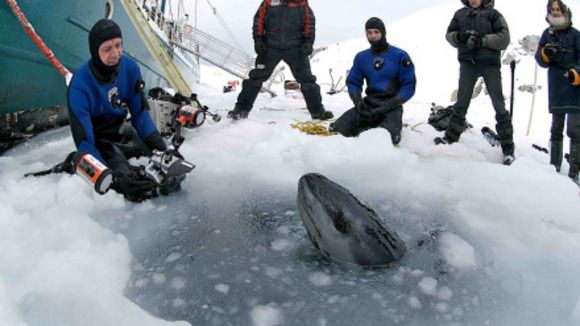 Photo du film Le Dernier Continent