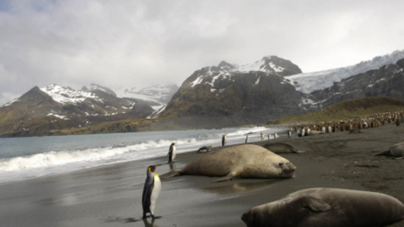 Photo du film Le Dernier Continent
